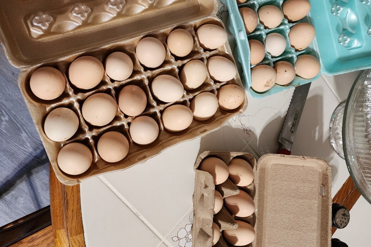 Fresh eggs available from Triple C Enterprises